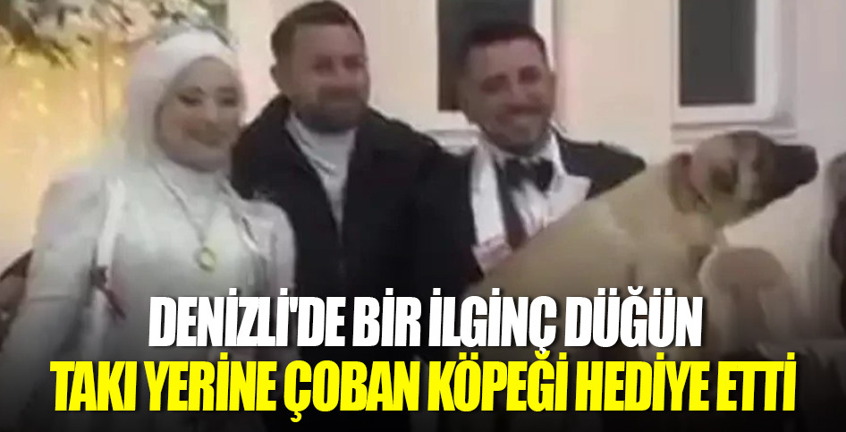 DENİZLİ'DE BİR İLGİNÇ DÜĞÜN: TAKI YERİNE ÇOBAN KÖPEĞİ HEDİYE ETTİ