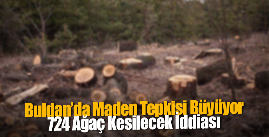 Buldan’da Maden Tepkisi Büyüyor: 724 Ağaç Kesilecek İddiası